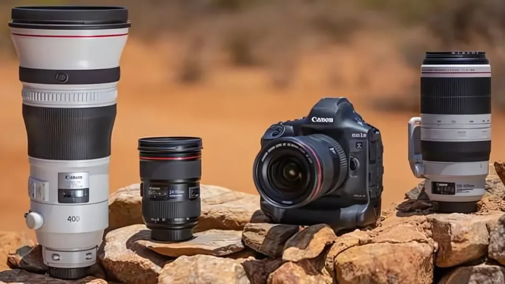 Choosing the Right Camera and Lens for wildlife photography
