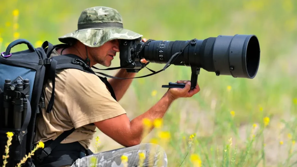Camera Techniques for Wildlife Photography
